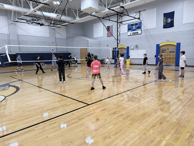 Volleyball fun! 