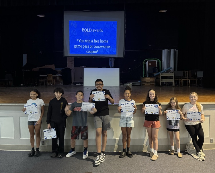 bold awards
