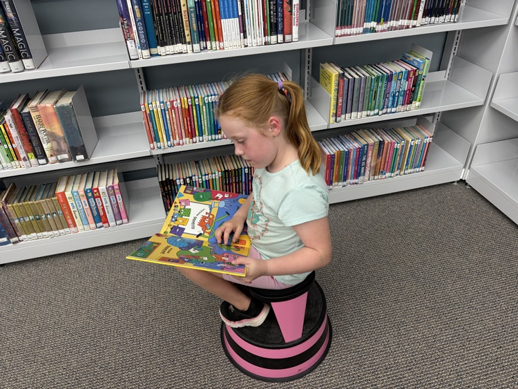 books are fun