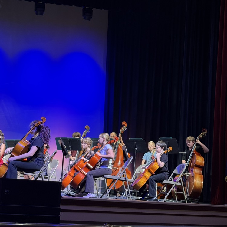 Orchestra