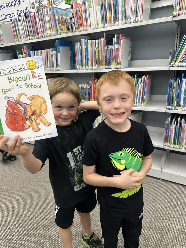 Library fun! 