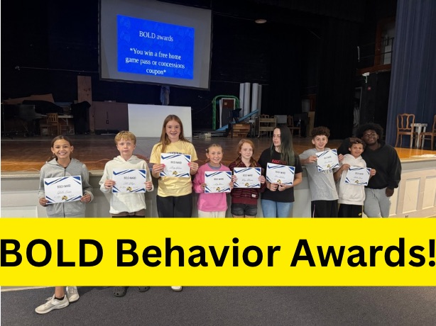 bold awards