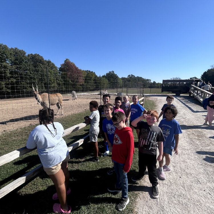 checking out all the animals 