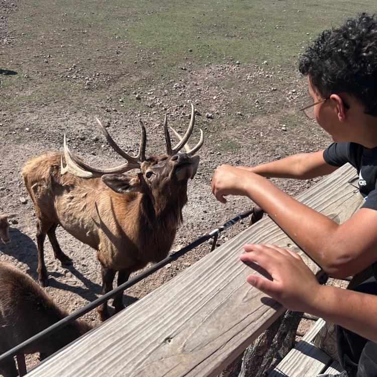we even got to feed the animals! 