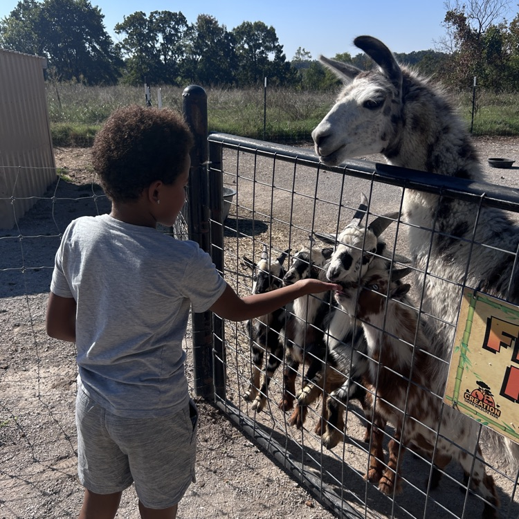 feeding the babies! 
