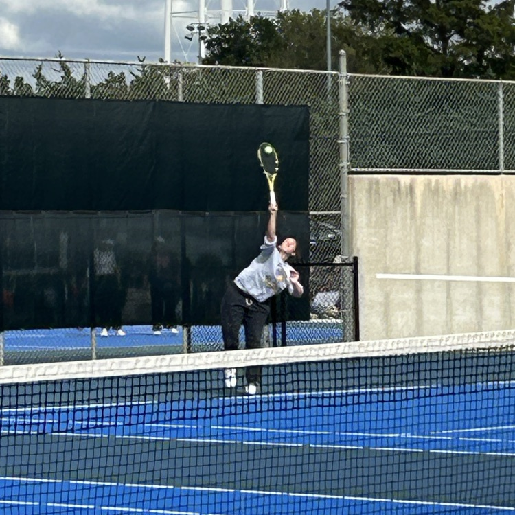 Lexi serving