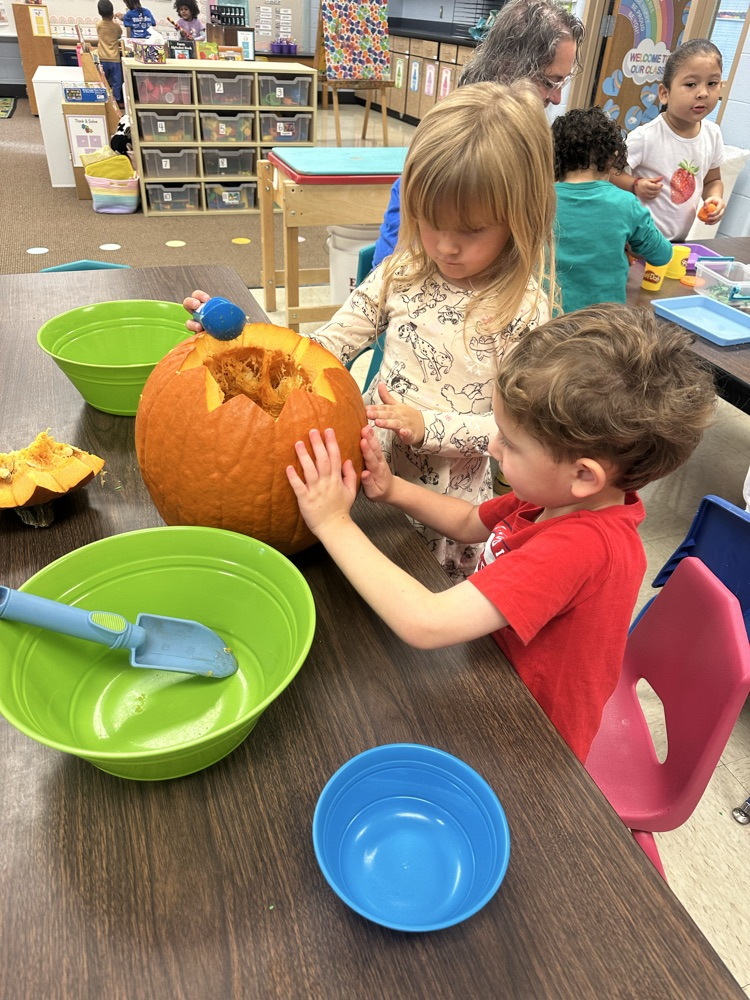 pumpkin investigation