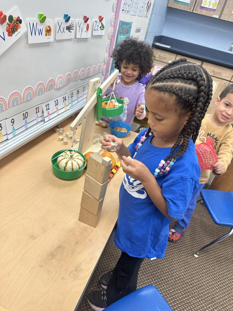 pumpkin measuring