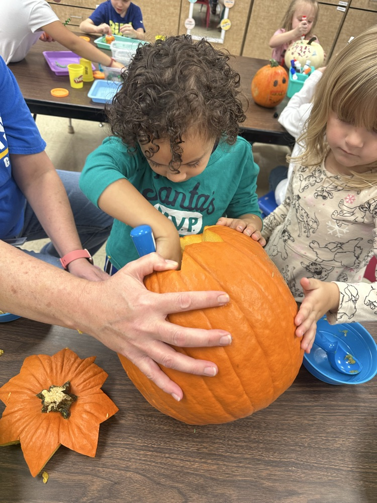 pumpkin investigation