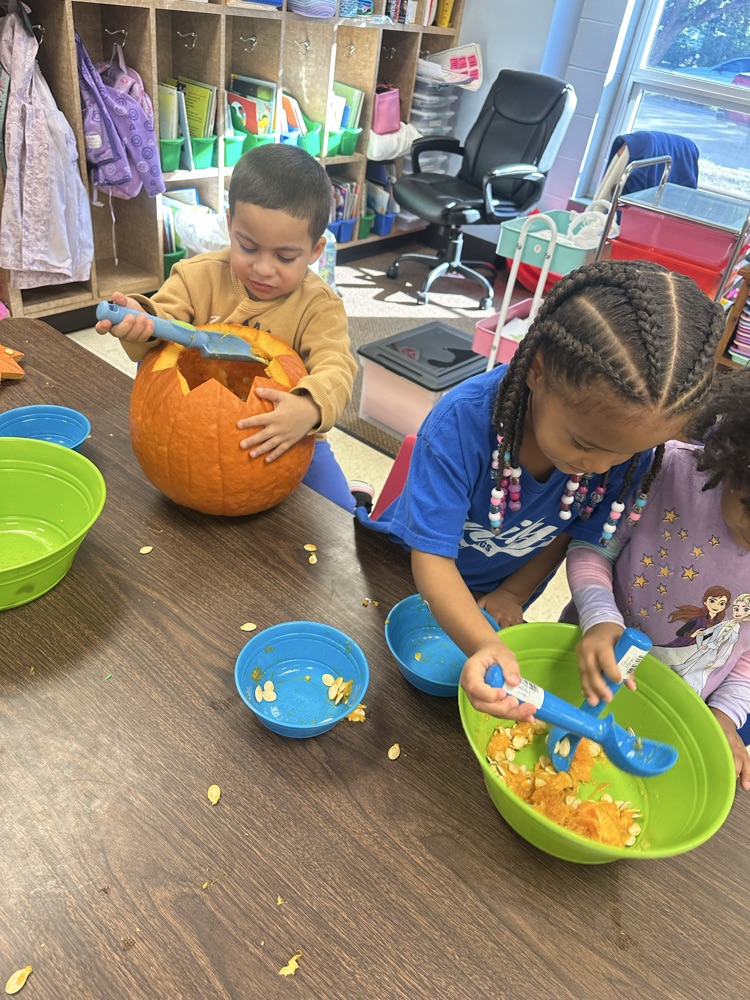 pumpkin investigation