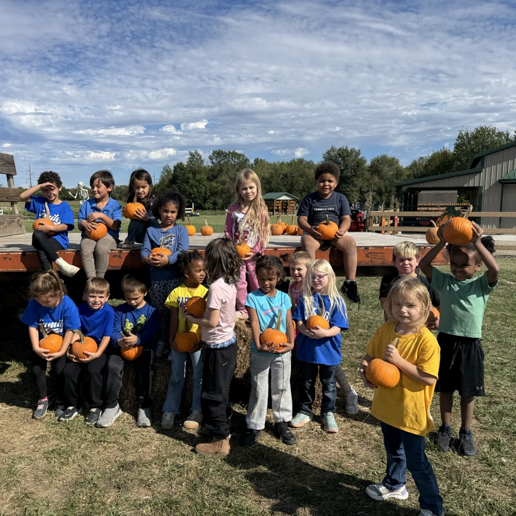 pumpkins