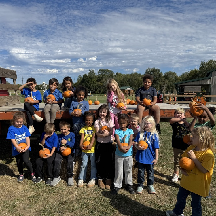 pumpkins
