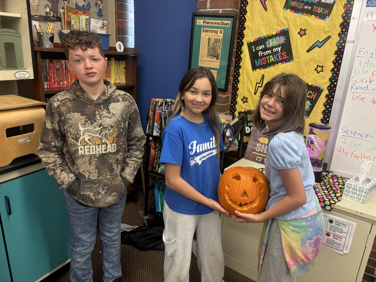 pumpkin 