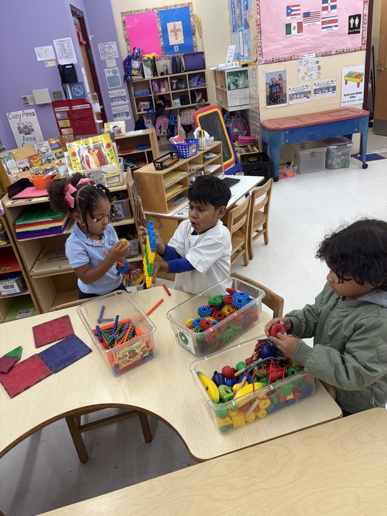 Toy Area in Preschool