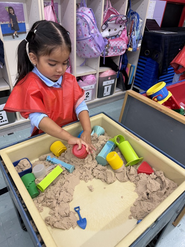 Sand Area