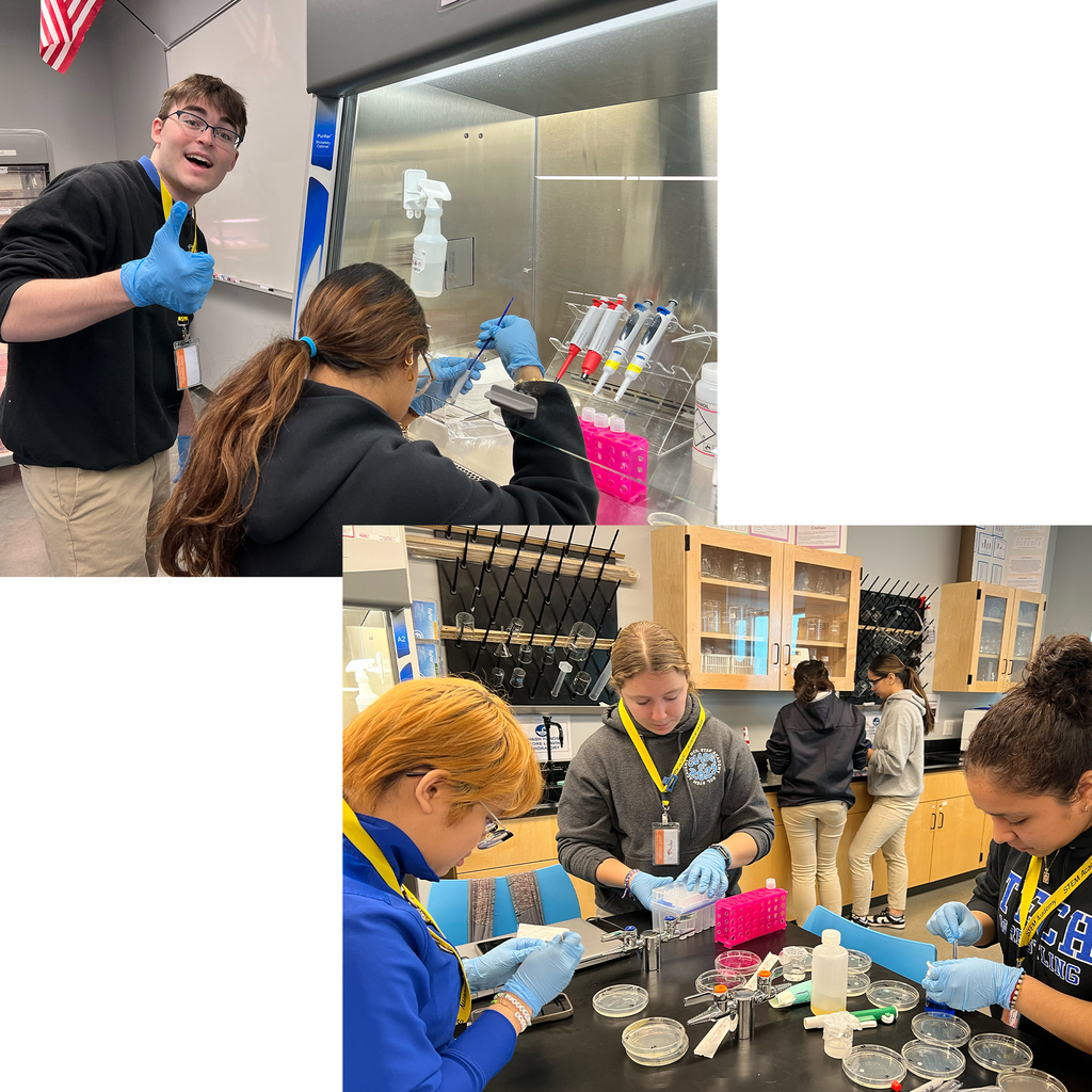 Biomedical 11