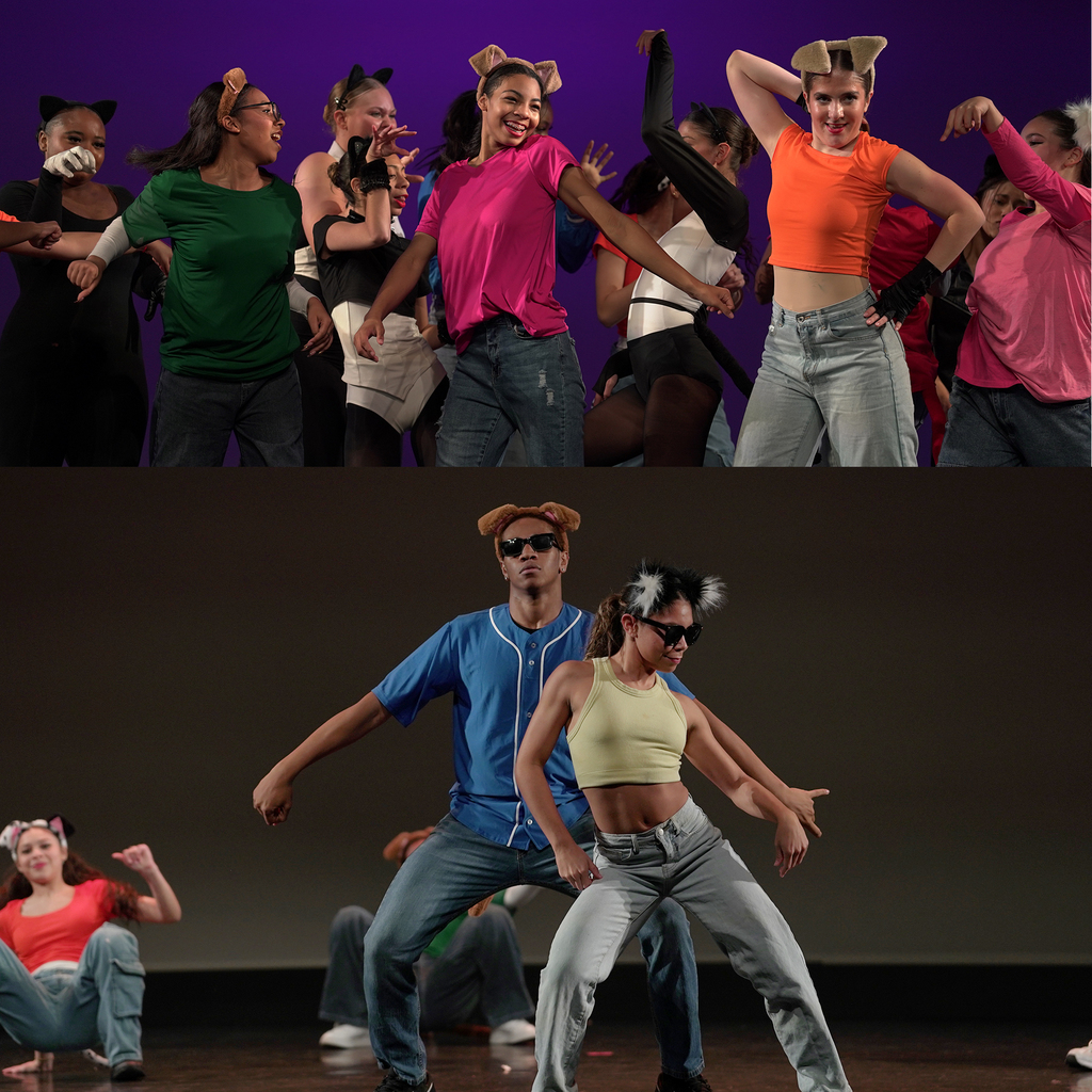 Born to be Wild Performance 5