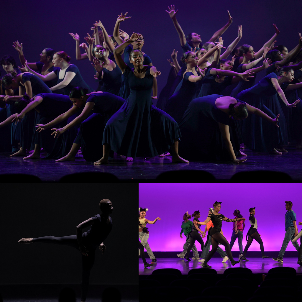 Born to be Wild Performance 7