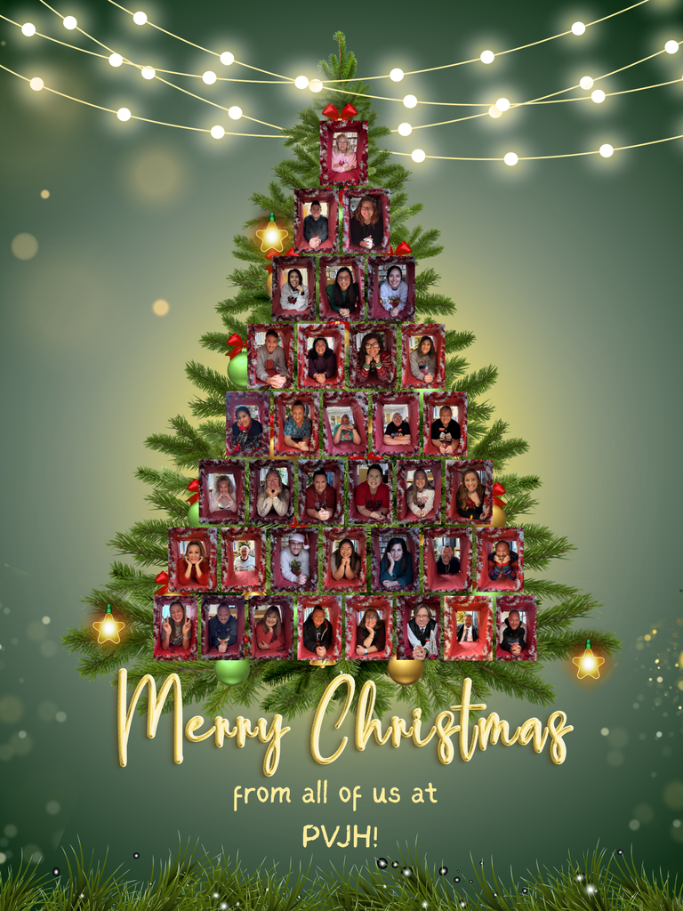 A festive holiday graphic featuring a Christmas tree made of framed staff photos arranged in a triangular tree shape. Each photo shows a smiling Pauls Valley Junior High staff member posed with hands under their chin against a red holiday backdrop. The tree is decorated with ornaments, bows, glowing stars, and string lights across the top. At the bottom, gold script text reads, “Merry Christmas from all of us at PVJH!” set against a soft green, bokeh-style background.