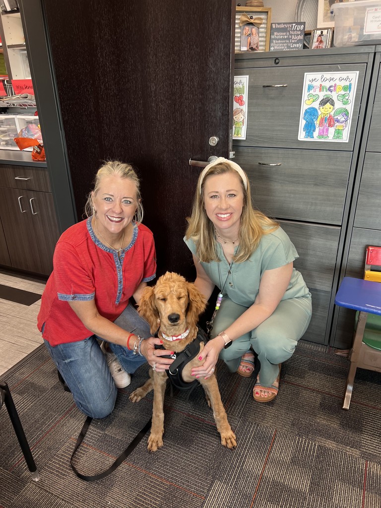 PV School's New Therapy Dog