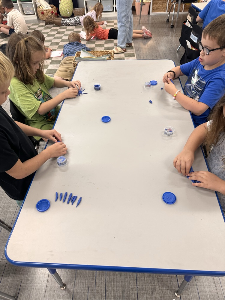 fine motor