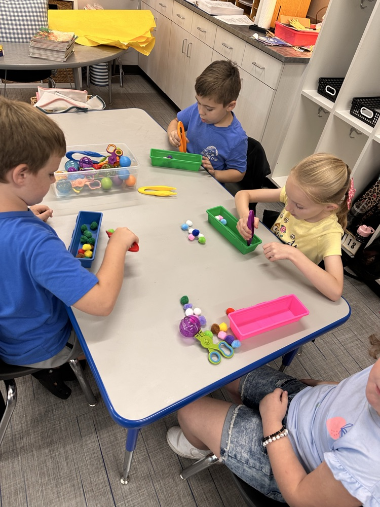 fine motor
