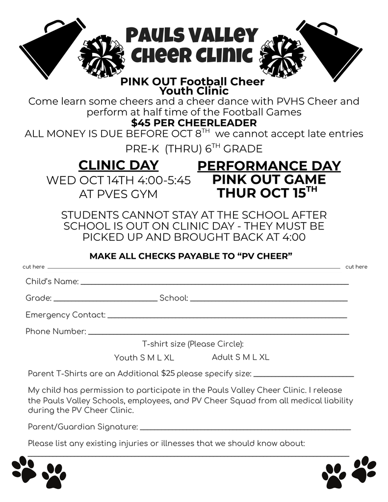 Cheer Clinic