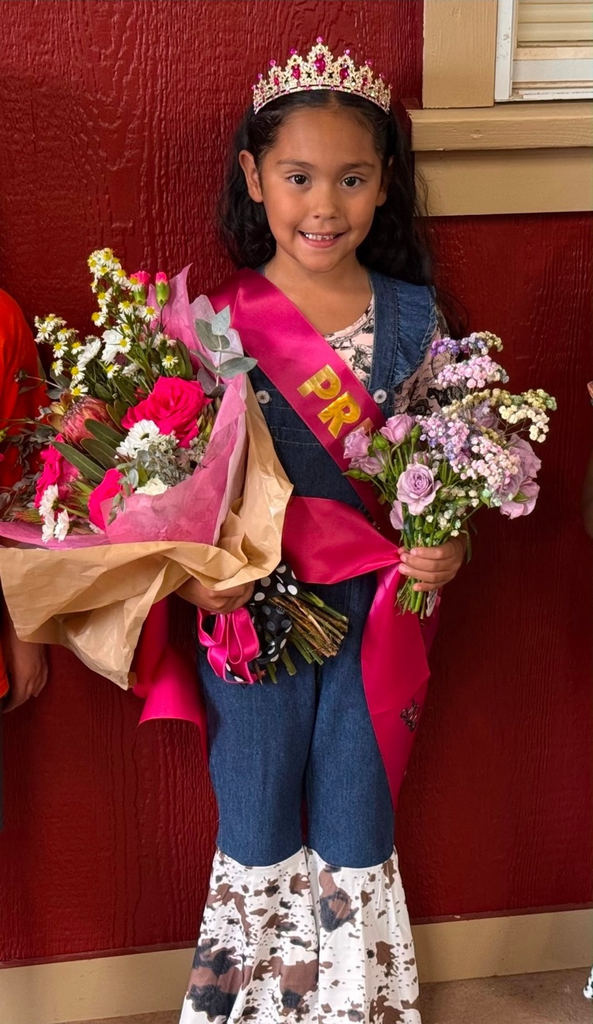 Fair Princess