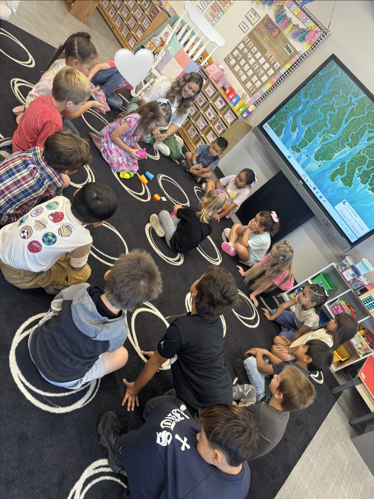 Coloring Sorting