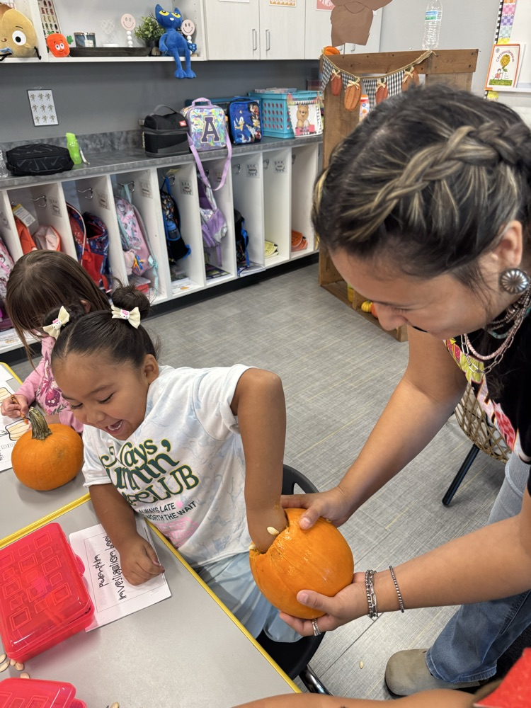 Pumpkin Investigation