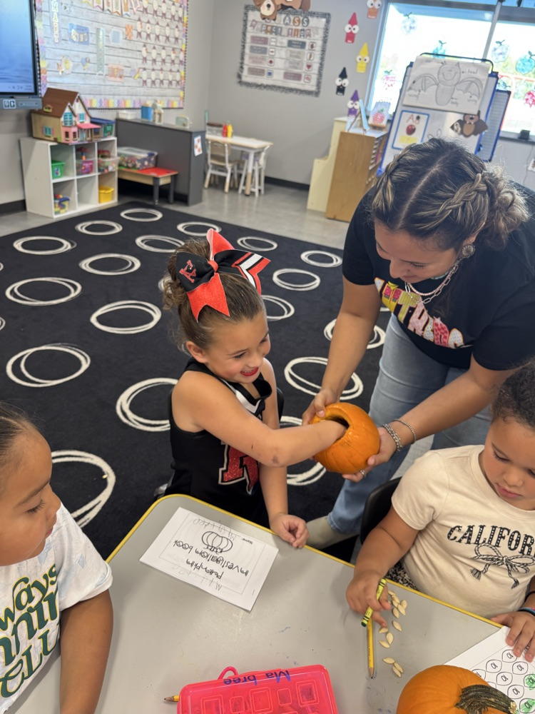 Pumpkin Investigation