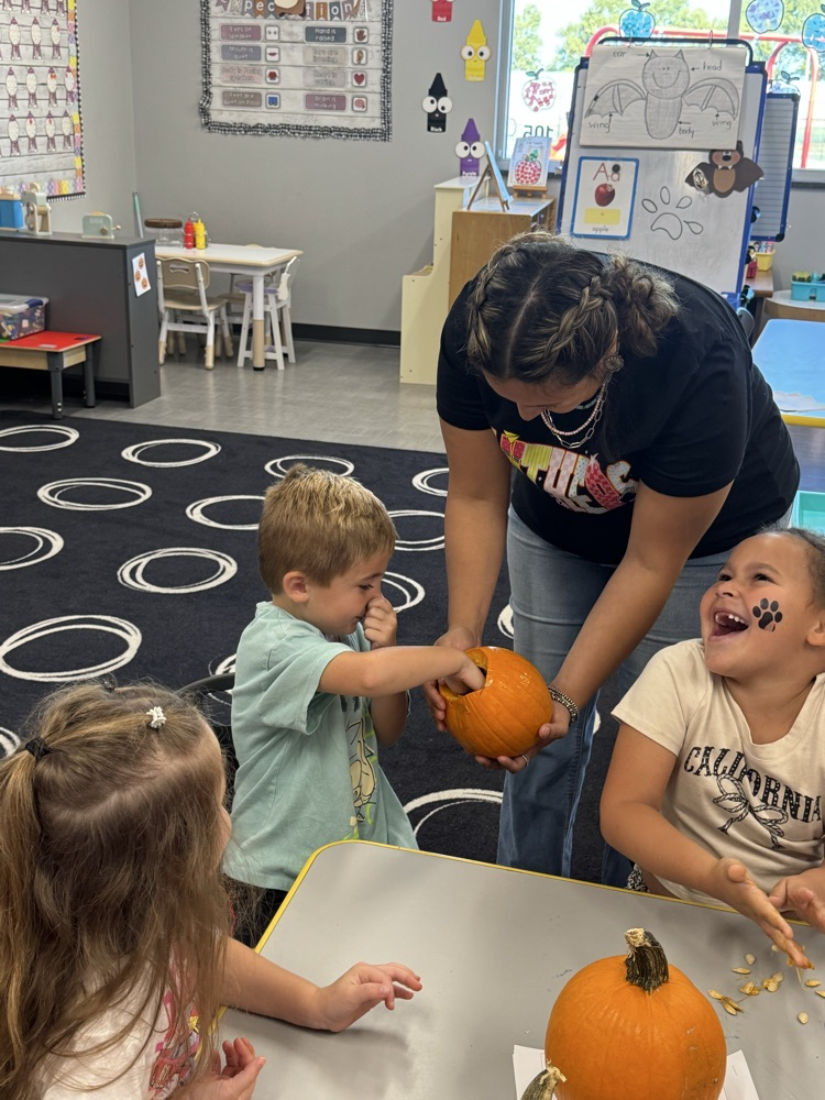 Pumpkin Investigation
