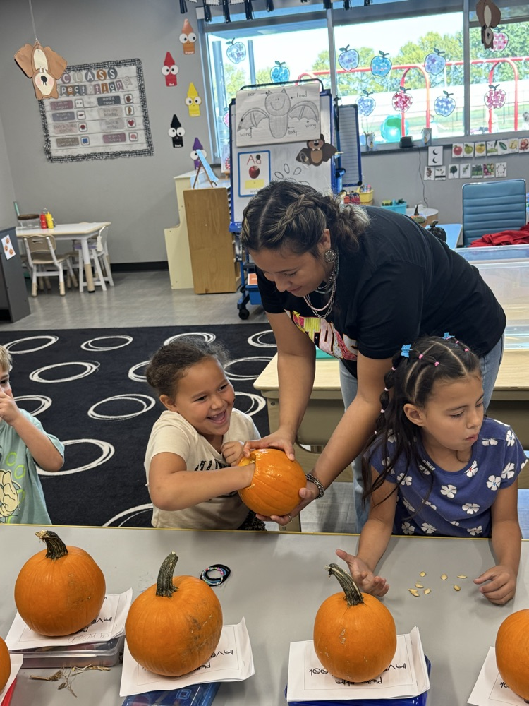 Pumpkin Investigation