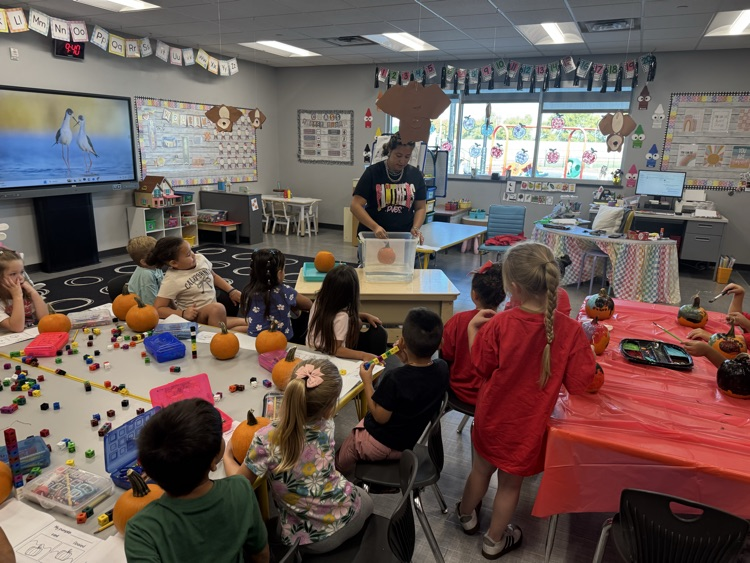 Pumpkin Investigation
