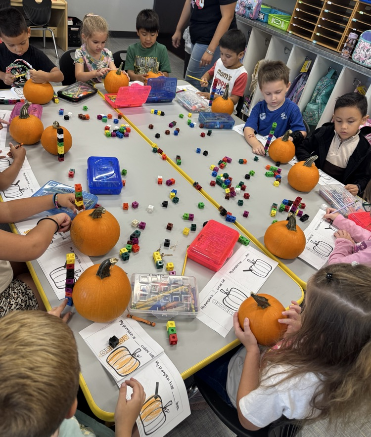 Pumpkin Investigation