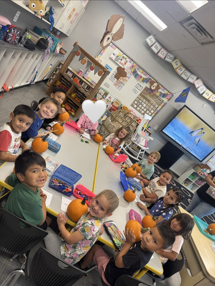 Pumpkin Investigation