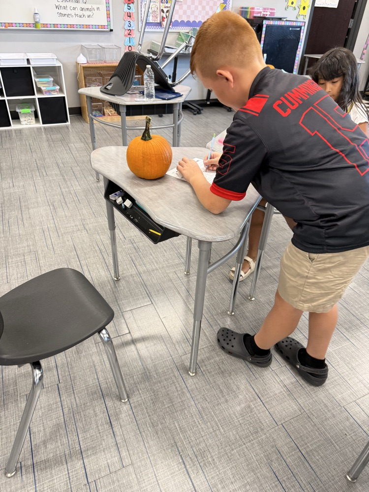 Pumpkin Math