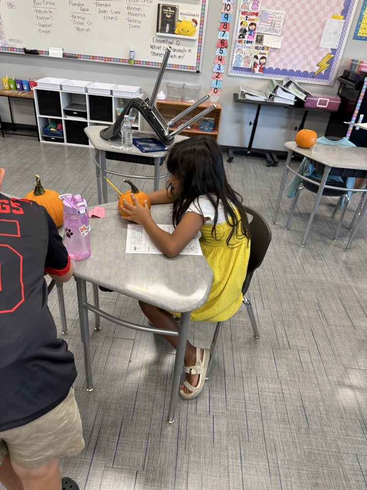 Pumpkin Math