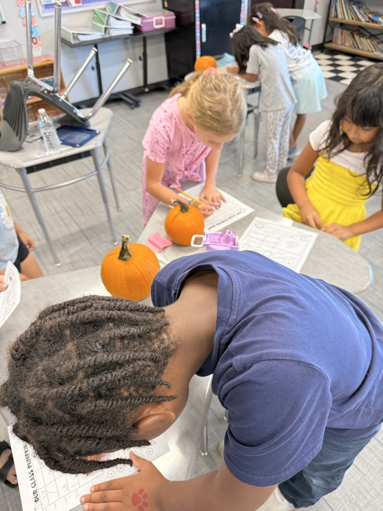 Pumpkin Math