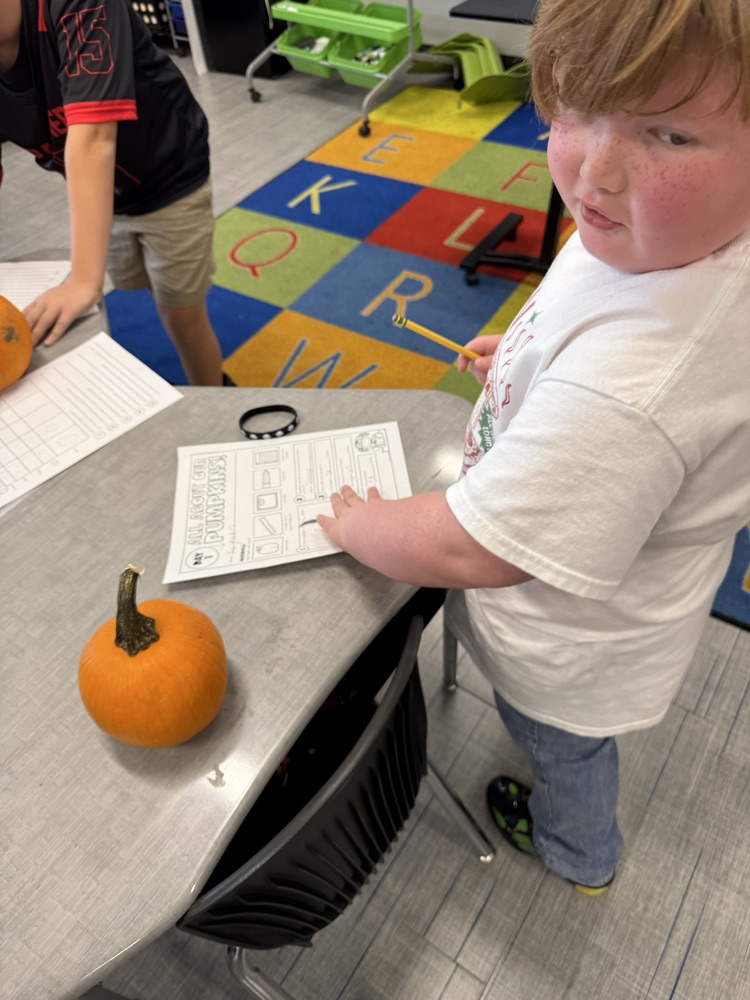 Pumpkin Math