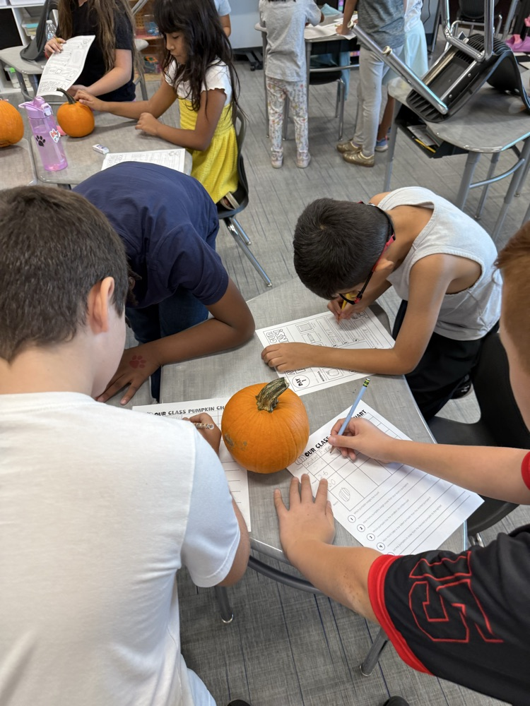 Pumpkin Math