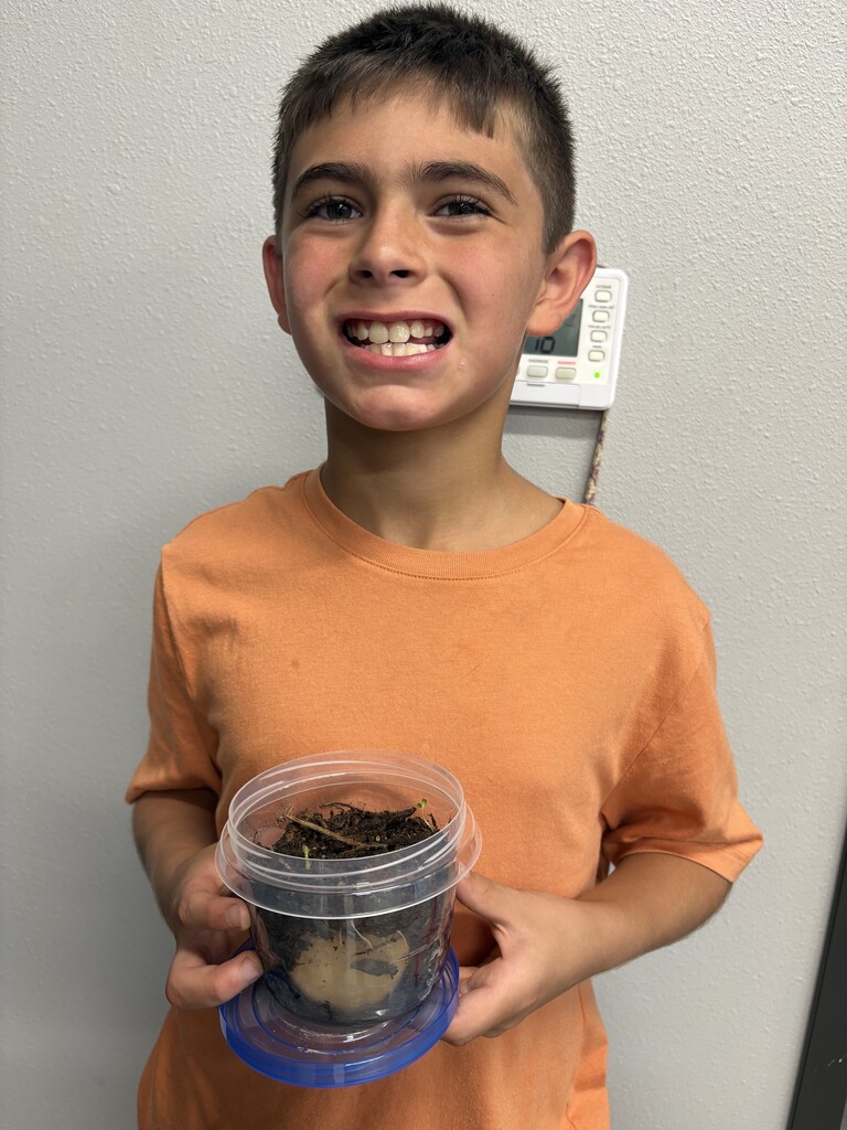 Science Experiment