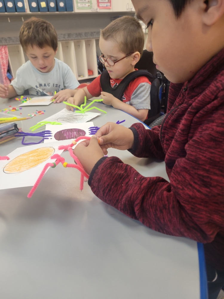 Fine Motor Skills