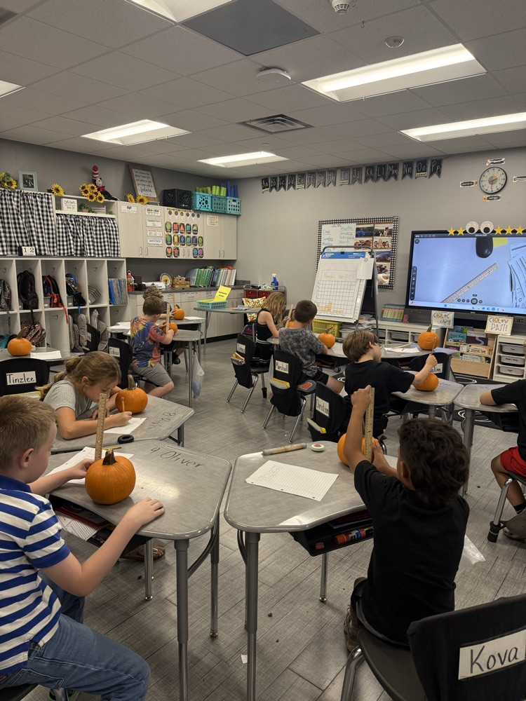 Pumpkin Math
