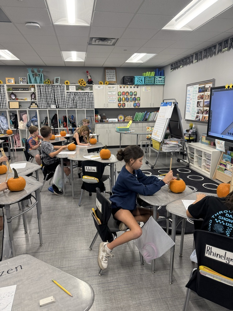 Pumpkin Math