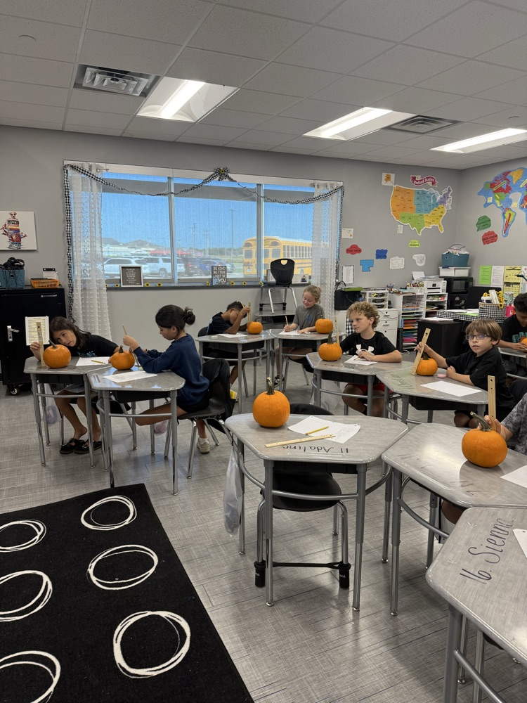 Pumpkin Math