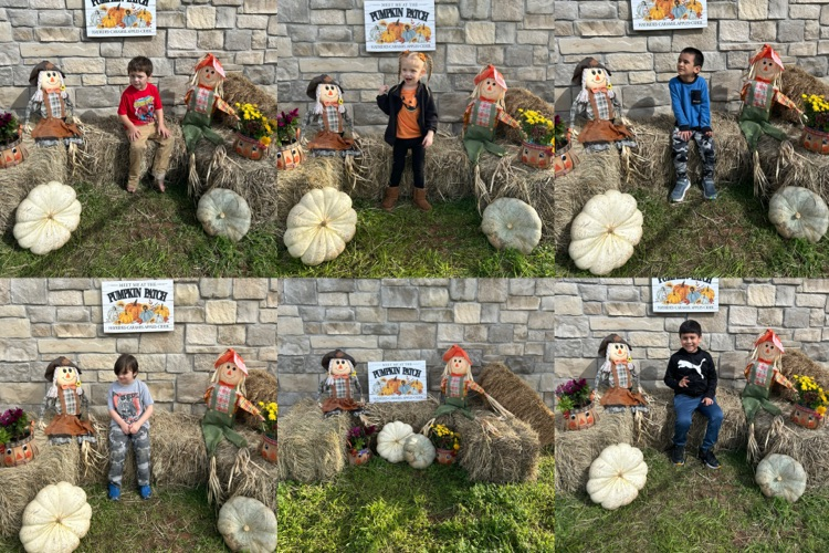 Pumpkin Patch 