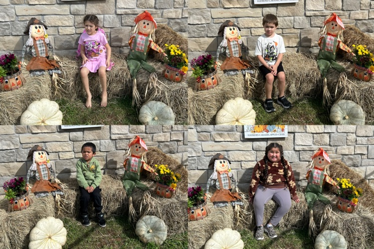 Pumpkin Patch