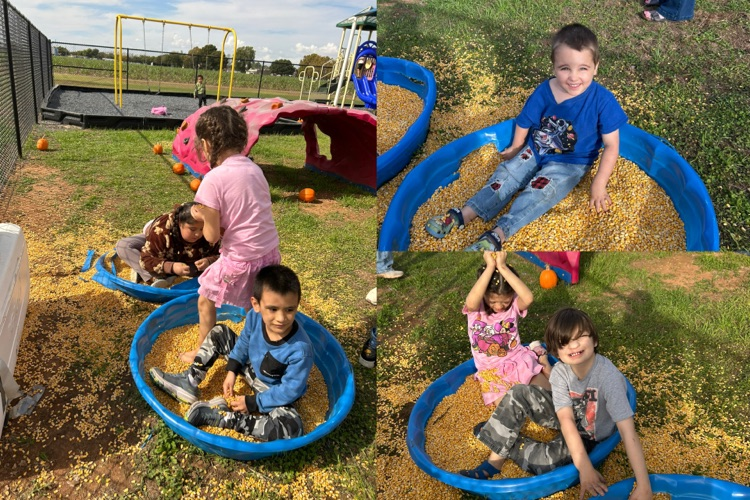 Pumpkin Patch