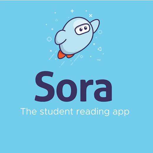 Sora